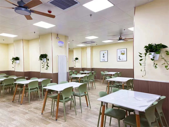 深圳學大教育 藝考文化課培訓與心理咨詢服務解析